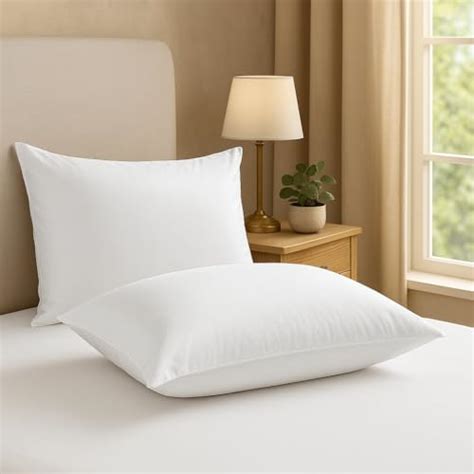 Welspun Easy Sleep Microfiber White Pillow Set of 2 (16 x 24 Inch ...