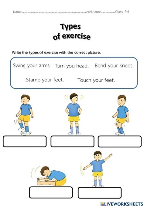 Exercise Activity 的图像结果