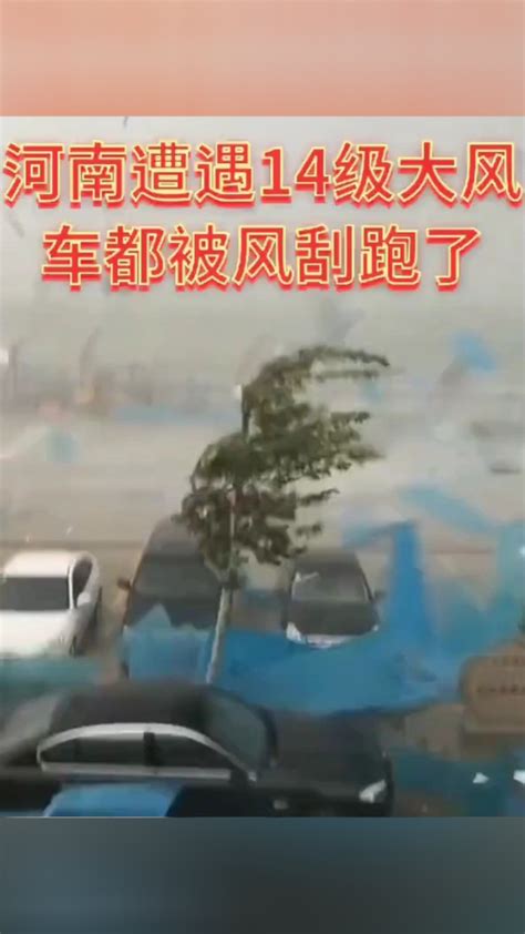 7月22日河南商丘遭遇14级大风，车辆瞬间被刮跑，大树被刮倒，屋顶被掀翻，彩钢顶棚满天飞。 #狂风暴雨电闪雷鸣