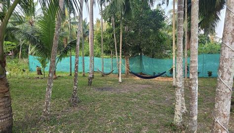 BLUE LAGOON RESORT, NEIL ISLAND (Sitapur) - Hotel Reviews, Photos, Rate ...