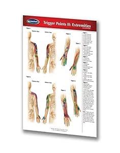 Permacharts - Trigger Points II Extremities Pocket Chart - : Amazon.in ...
