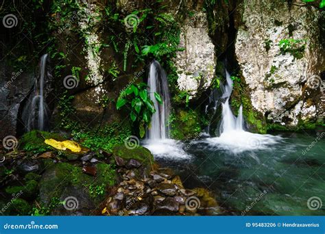 Image result for Fillongley Spring Water Source