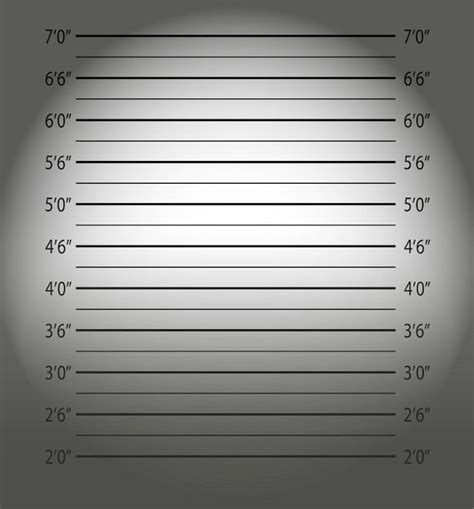 Police Mugshot Background Vector