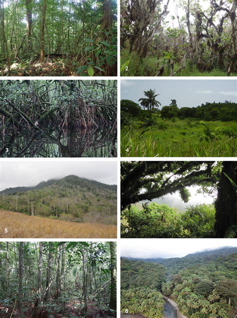 Natural Ecosystem Examples 的图像结果