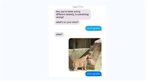 Humorous Text Messages 的图像结果