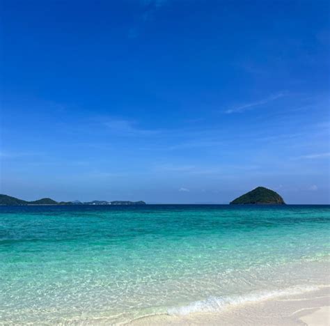 Renaissance || Investment Process