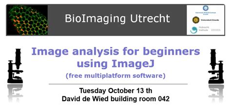 Image result for Computer Assistant Image Analysis ImageJ