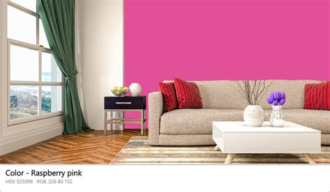 Image result for Raspberry Pink Color