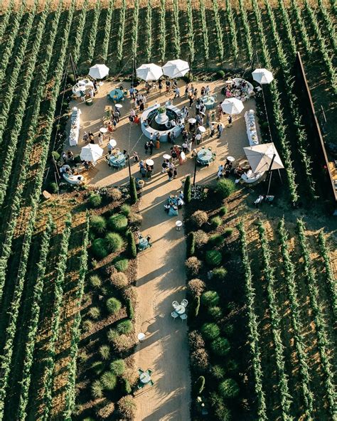 Best 13 Texas Hill Country Winery & Vineyard | Flat Creek Estate – Artofit