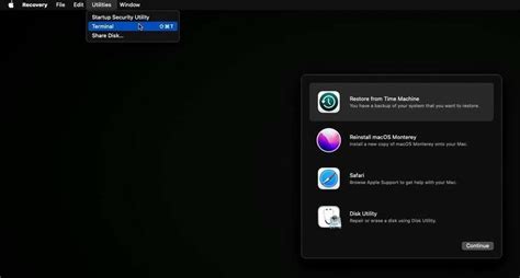 Mac Recovery Partition 的图像结果