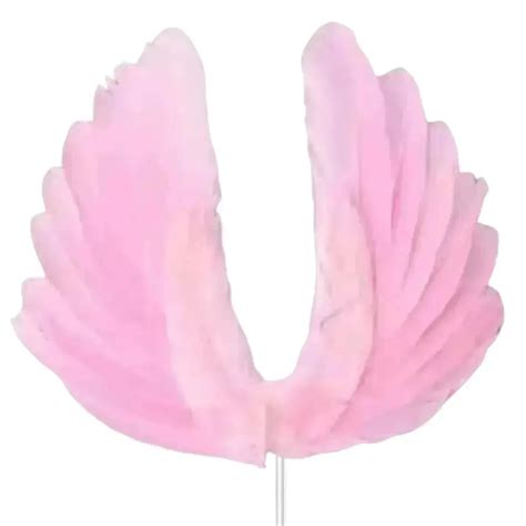 Angel Wings Pink Feather Cake Toppers