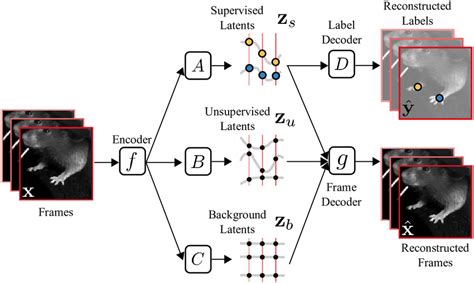 Image result for Variational Autoencoders Applications