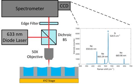 Image result for micro-Raman