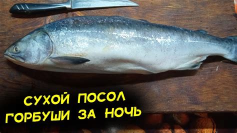 Сухой посол горбуши с укропом. За ночь готово. Теперь солю лосося ...