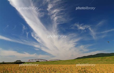 秋空 写真素材 [ 1101719 ] 無料 - フォトライブラリー photolibrary