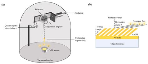 Fabrication of Au Nanorods by the Oblique Angle Deposition Process for ...