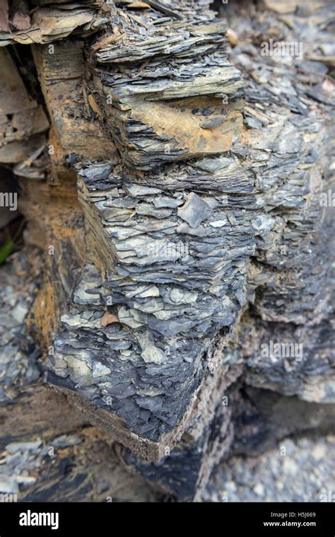 Shale Drilling 的图像结果