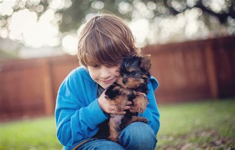10 Small Dog Breeds That Are Kid-Friendly – SheKnows