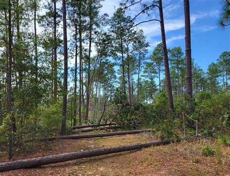 Employee Discovers Unexpected Family Connection at ORNL Cleanup Project ...