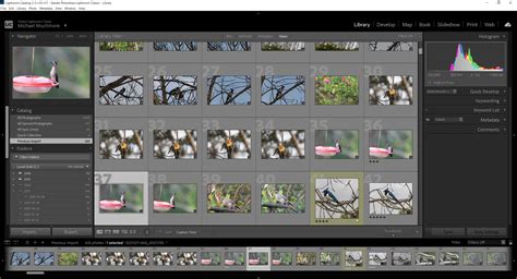 Lightroom Cc Classicデータ共有, ライトルームクラシックとは – PVIWA