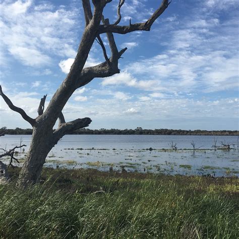 GRASSFLAT SWAMP FLORA AND FAUNA RESERVE - All You SHOULD Know Before ...