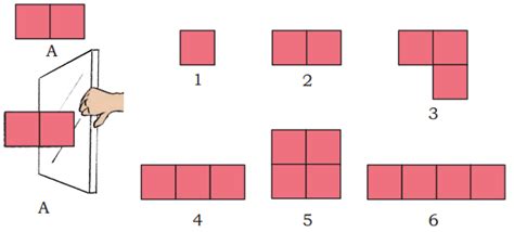 Image result for Symmetry Reflection and Pattern Chapter of Class 4
