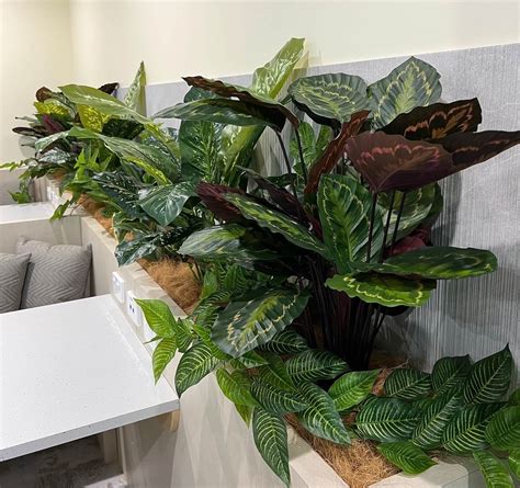 Fake Plants For Front Door at Harvey Horton blog