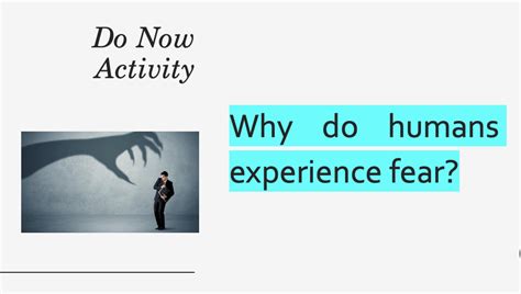 Image result for Do Now Activity Examples