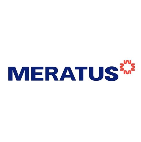 Vector Logo Merritus 的图像结果