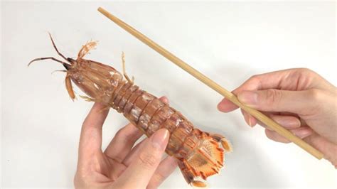 皮皮虾剥皮有诀窍，一根筷子就搞定，剥皮简单快速，再也不怕扎嘴