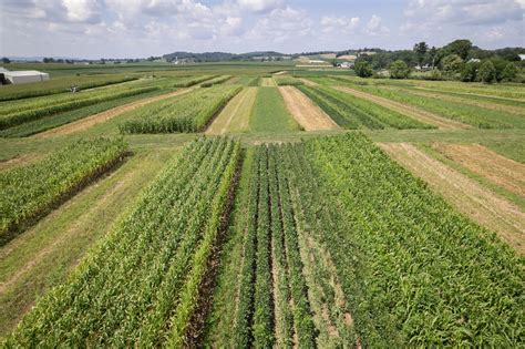 Image result for Crop Rotation