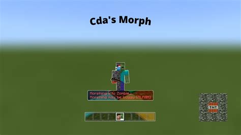 Image result for Morph Mod Minecraft Java
