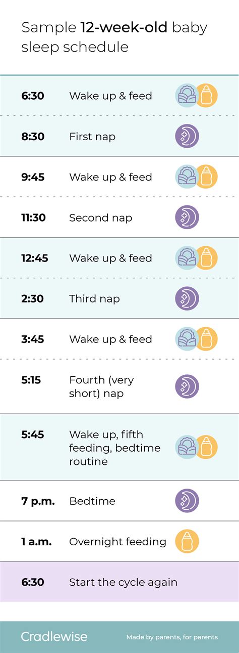 3 month old sleep schedule: A guide