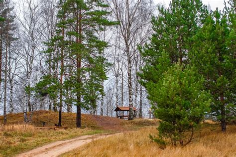 Камовые холмы