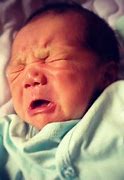 Image result for Cute Baby Animalls