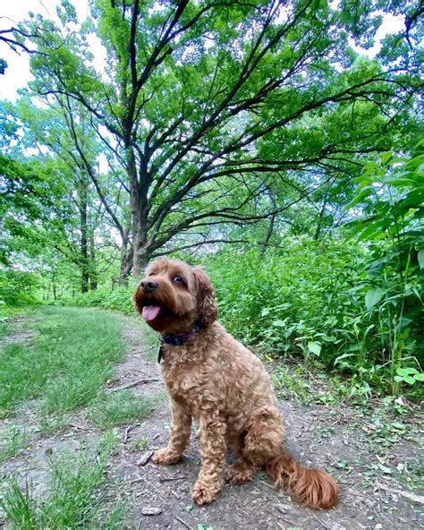 Governor Nelson State Park | Waunakee, WI
