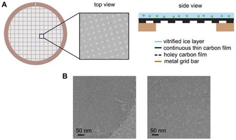 Application of Monolayer Graphene | Encyclopedia MDPI