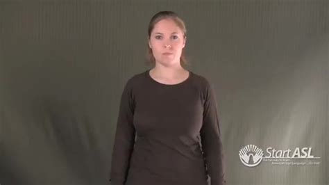 American Sign Language ASL Video Dictionary - more