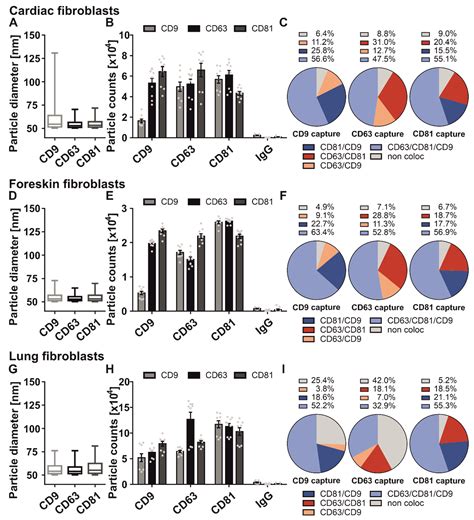 Detailed Characterization of Small Extracellular Vesicles from ...