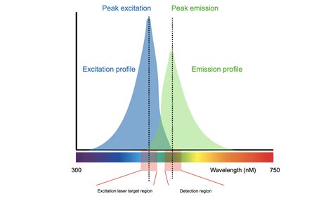 Image result for Understanding Flow Cytometry