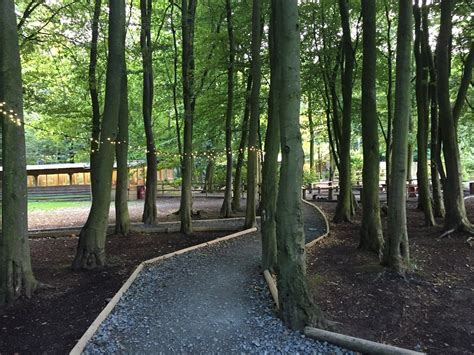 THE BEST Places to Visit in Kingsland (2026) - Must-See Attractions