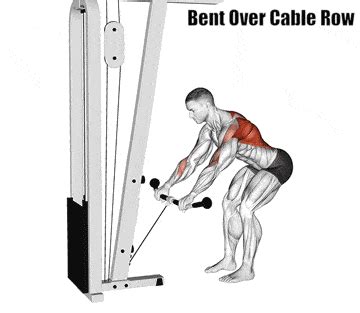 Image result for Cable Machine Bent Over Row