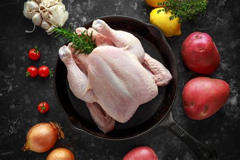 manfaat dan fungsi ayam