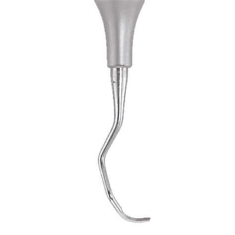 GDC Langer Curette 5/6 For Maxillary And Mandibular Anterior #6 (Sl5/6 ...