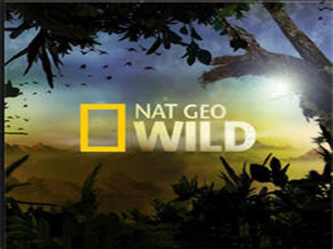 Prime Video: Nat Geo Wild Season 1