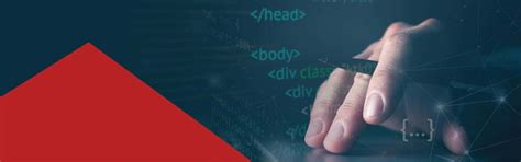 B.Sc. Computer Science - Adypu