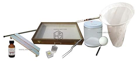 HARPAL SONS Insect Collecting Kit incudes Insect Display Box, Sweep Net ...
