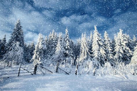 Image result for Snowing