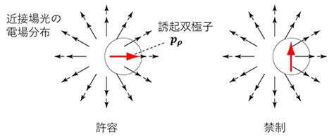 Introduction to Python Coding に対する画像結果