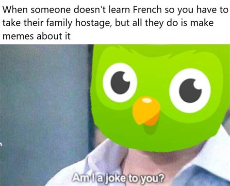 Duolingo Meme